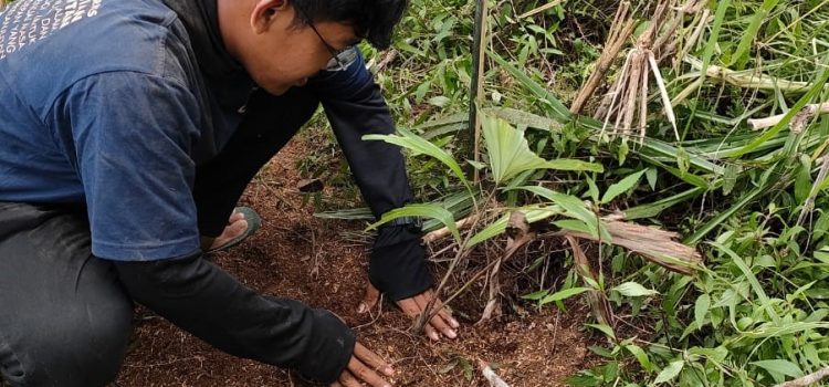 Menjaga Kawasan Konservasi dan Mata Air Melalui Penanaman 1.500 Pohon